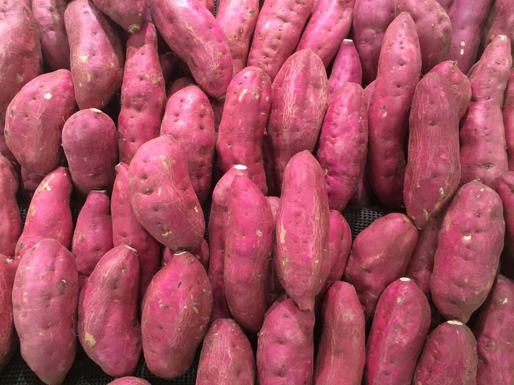 고구마말랭이 10kg